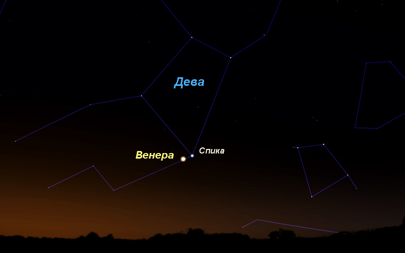 Сближение планеты Венера и звезды Спика из созвездия Дева утром 15 ноября